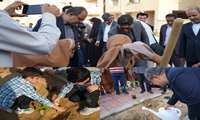 فرماندار بوشهر: کاشت پنج هزار اصله درخت در شهر عالیشهر با هدف توسعه فضای سبز شهری انجام شد