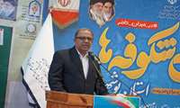 آغاز «جشن شکوفه‌ها» و سال تحصیلی کلاس اولی‌ها در بوشهر/ فرماندار بوشهر: آمادگی کامل مدارس شهرستان برای بازگشایی